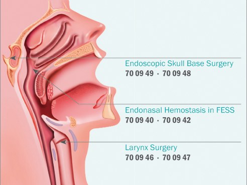 Egyeb termekek 1 abra